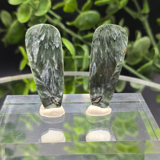 Seraphinite wings