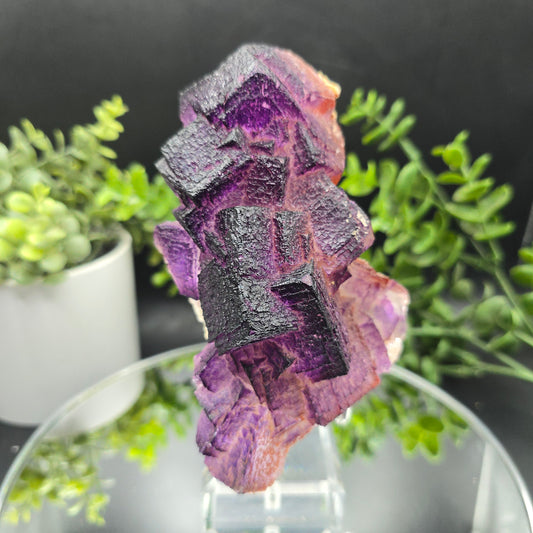 Fluorite El Filo Mine Durango Mexico