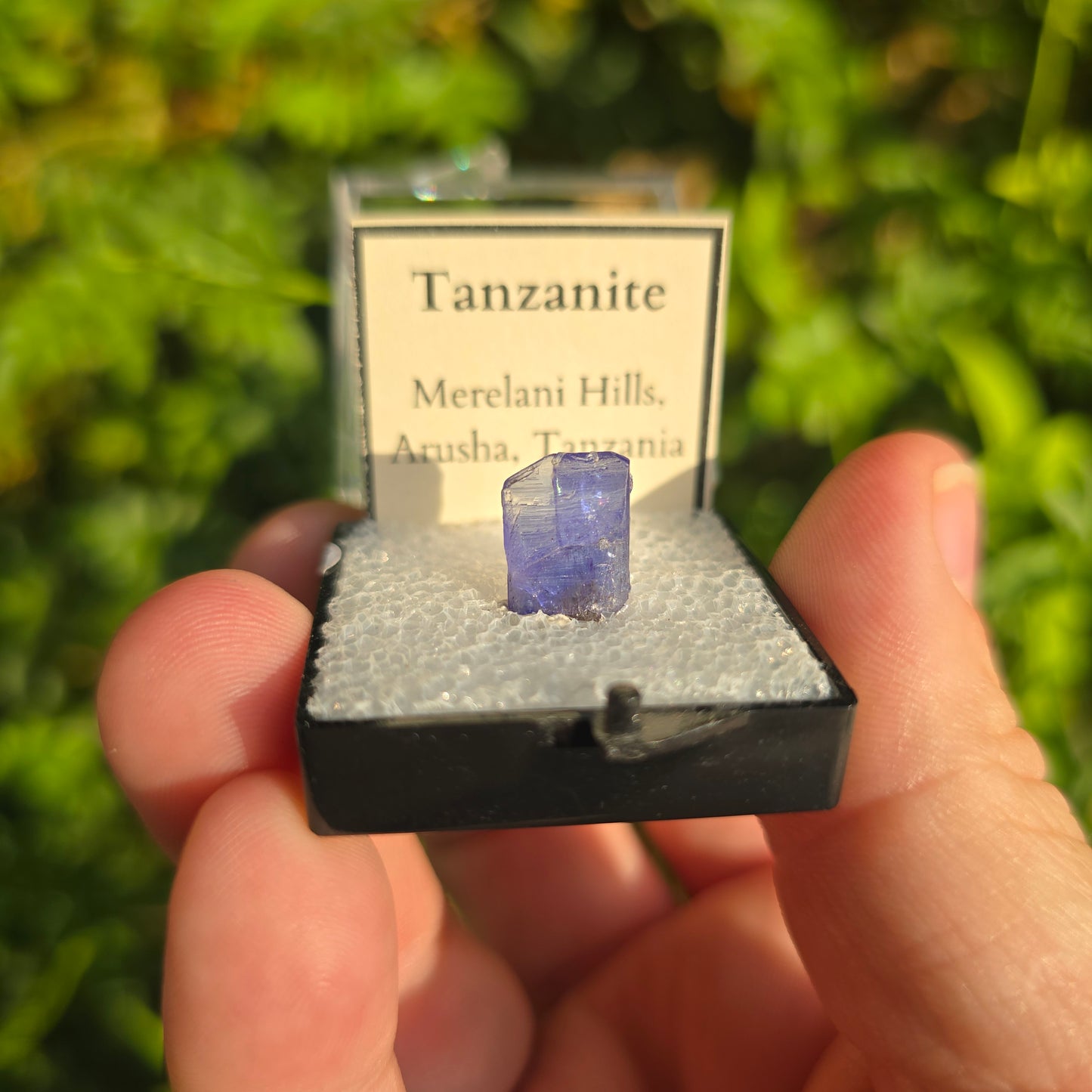 Tanzanite
