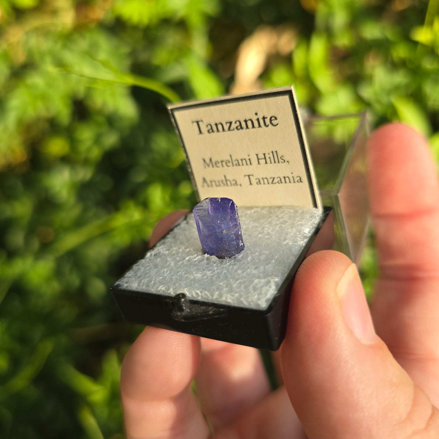 Tanzanite