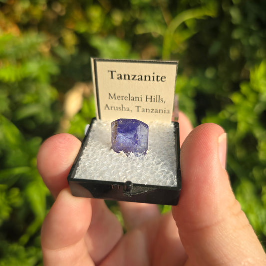 Tanzanite