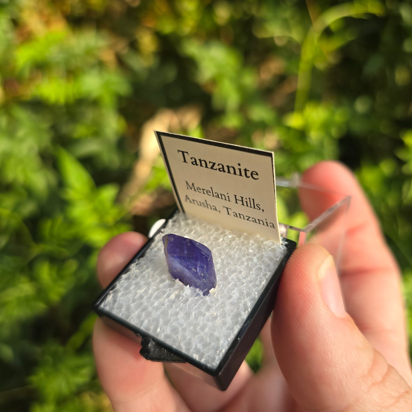 Tanzanite