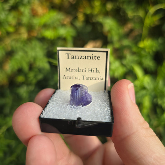 Tanzanite