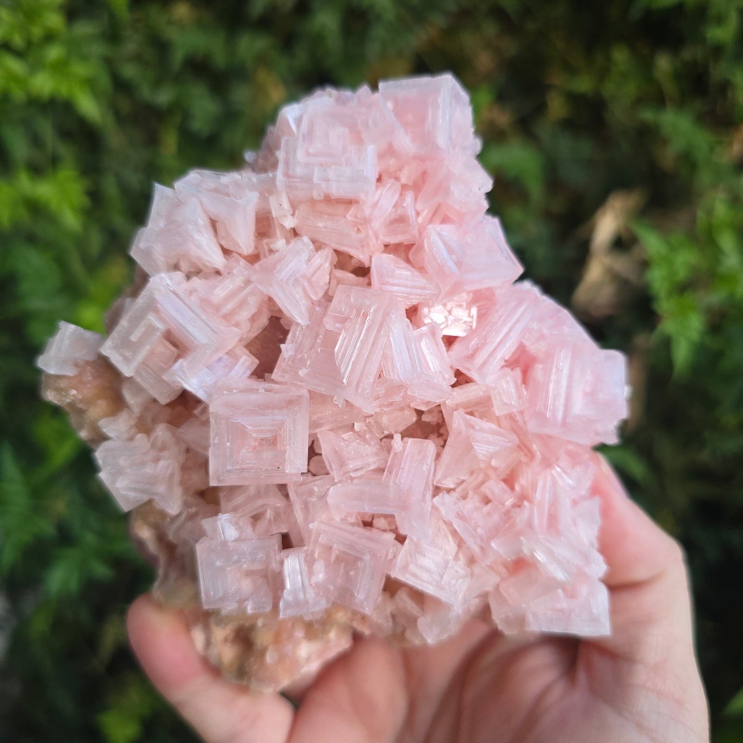Pink Halite Ca