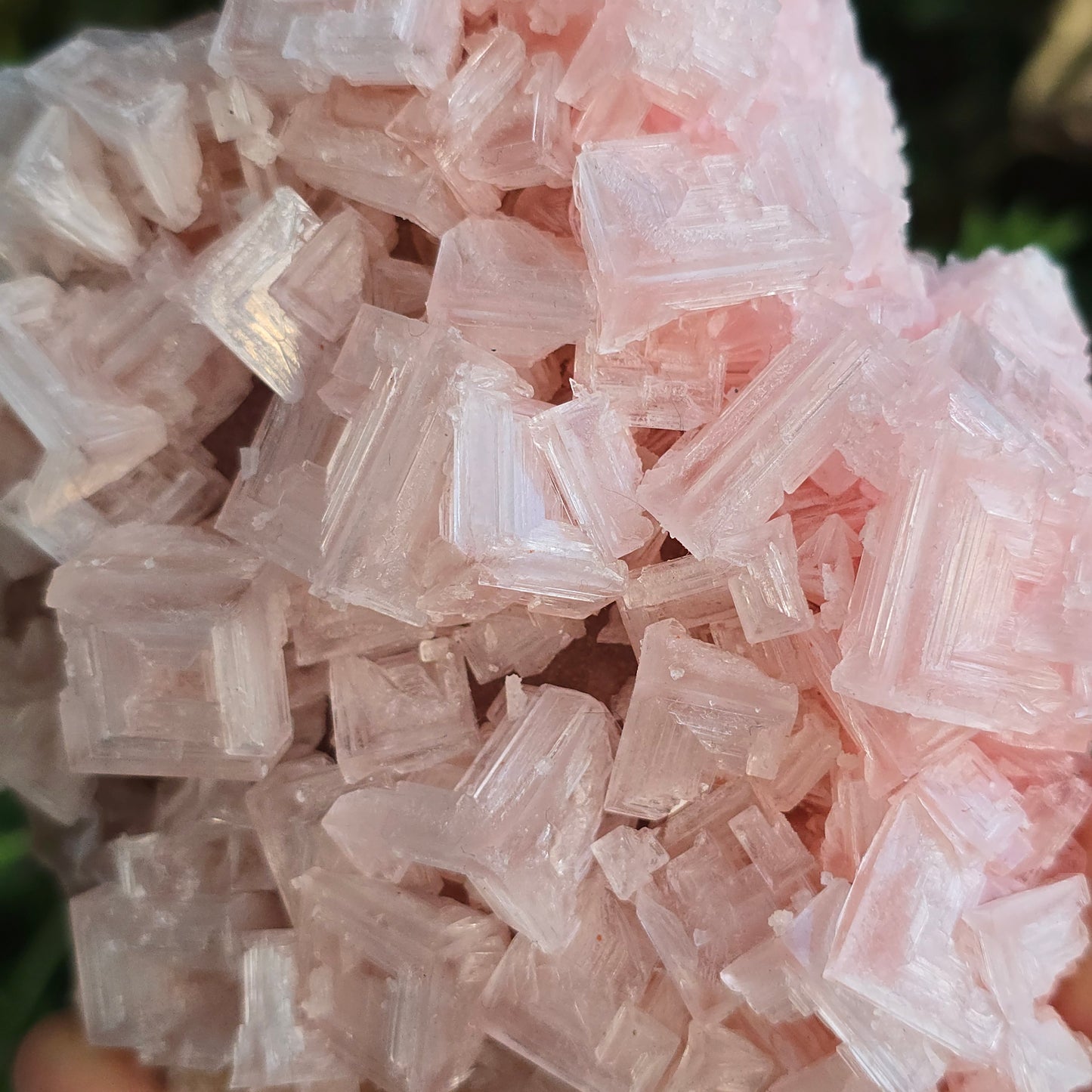 Pink Halite Ca