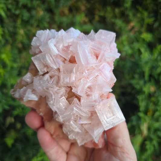 Halite California