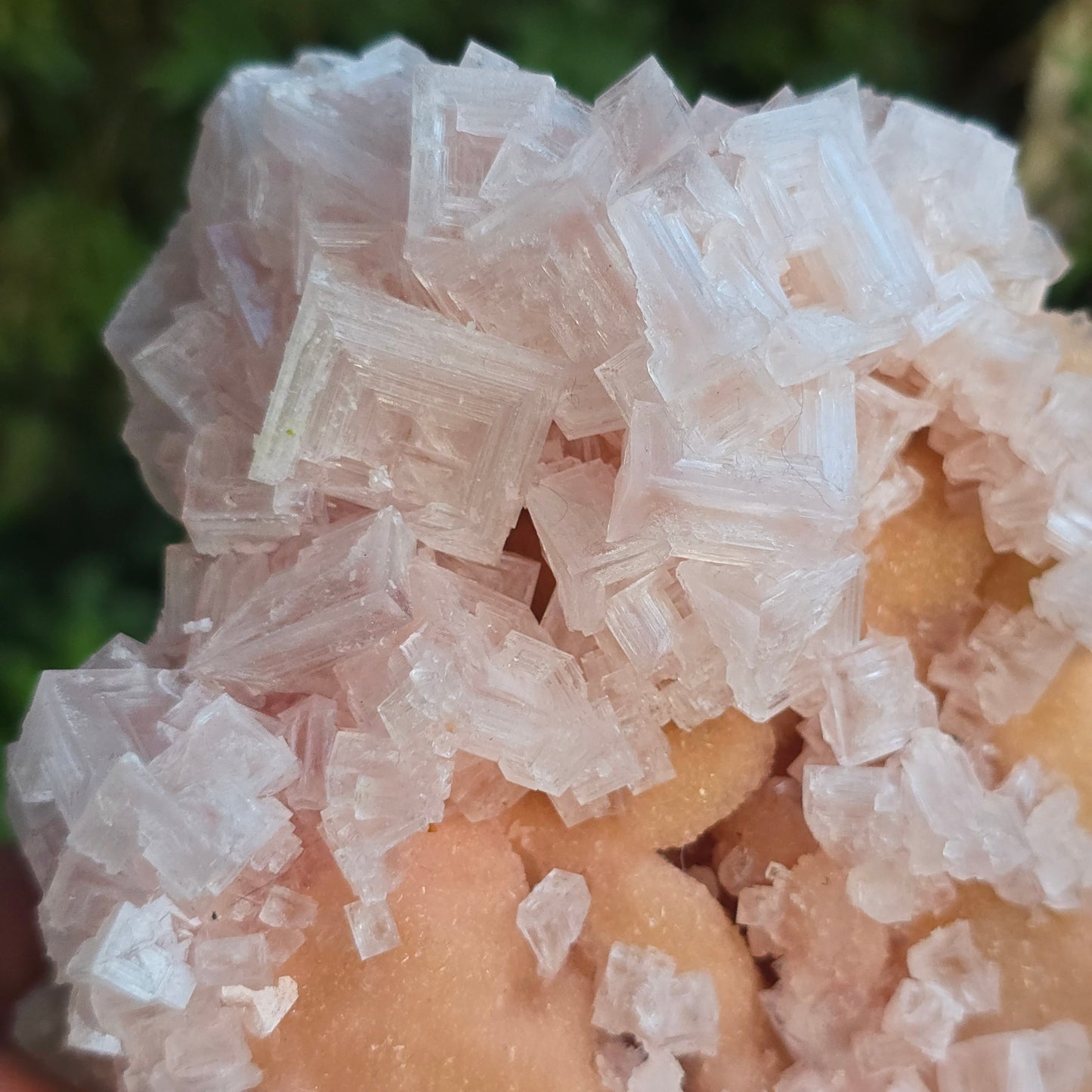 Halite Ca