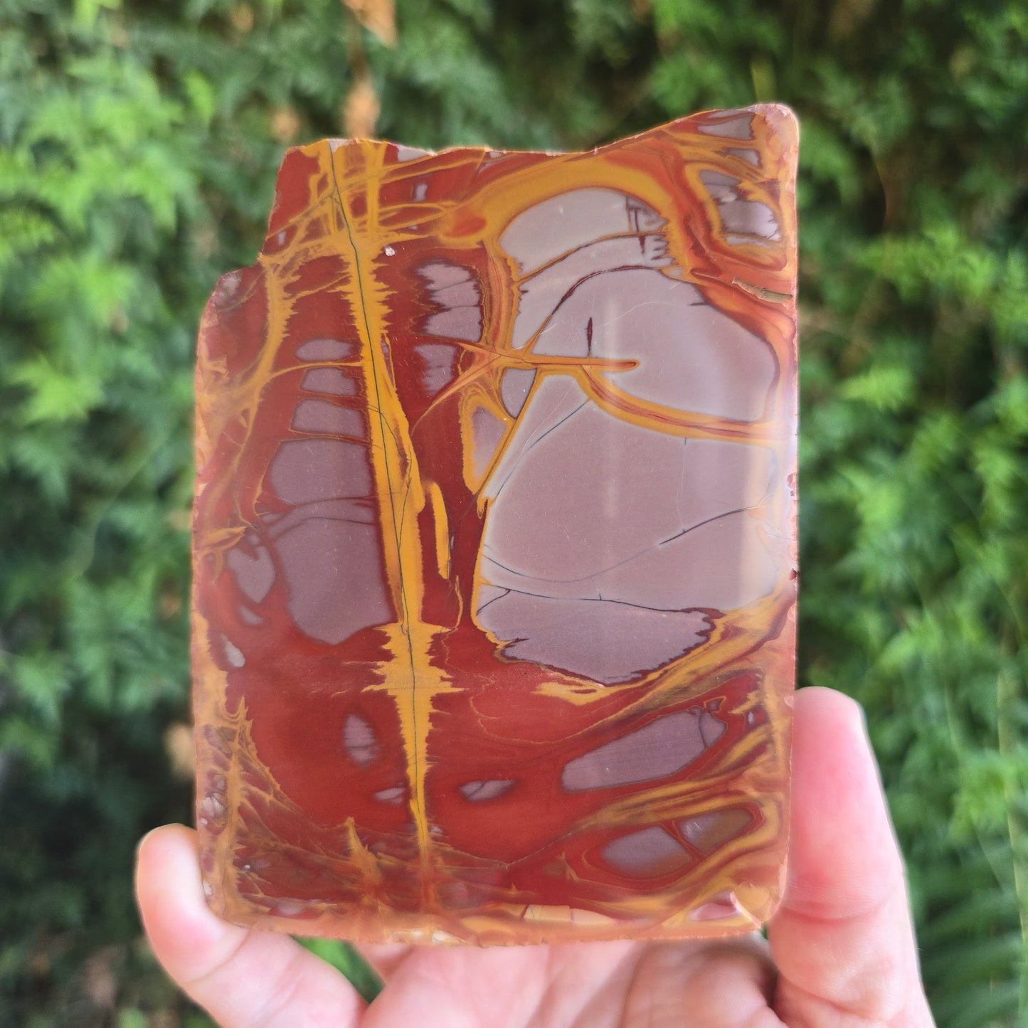 Noreena Jasper Australia