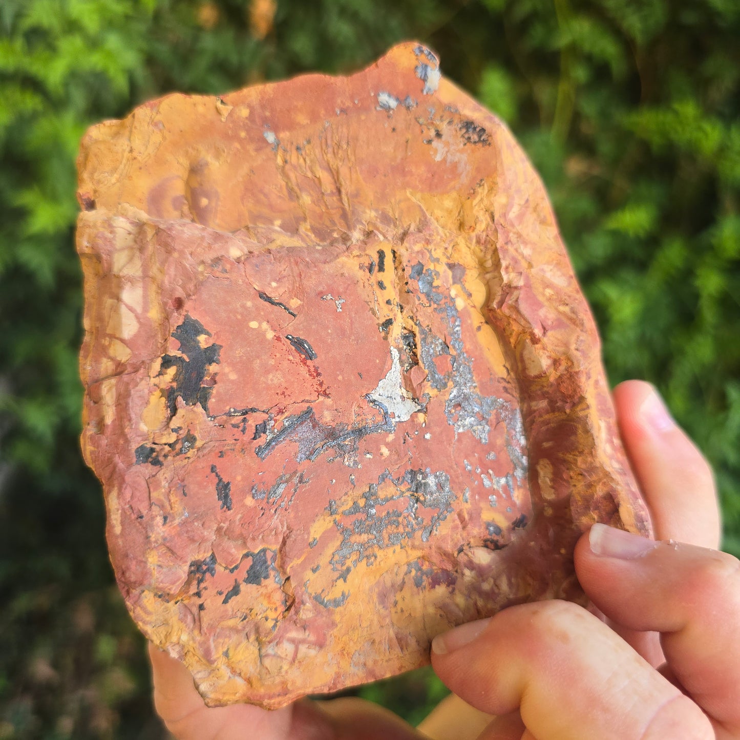 Noreena Jasper Australia