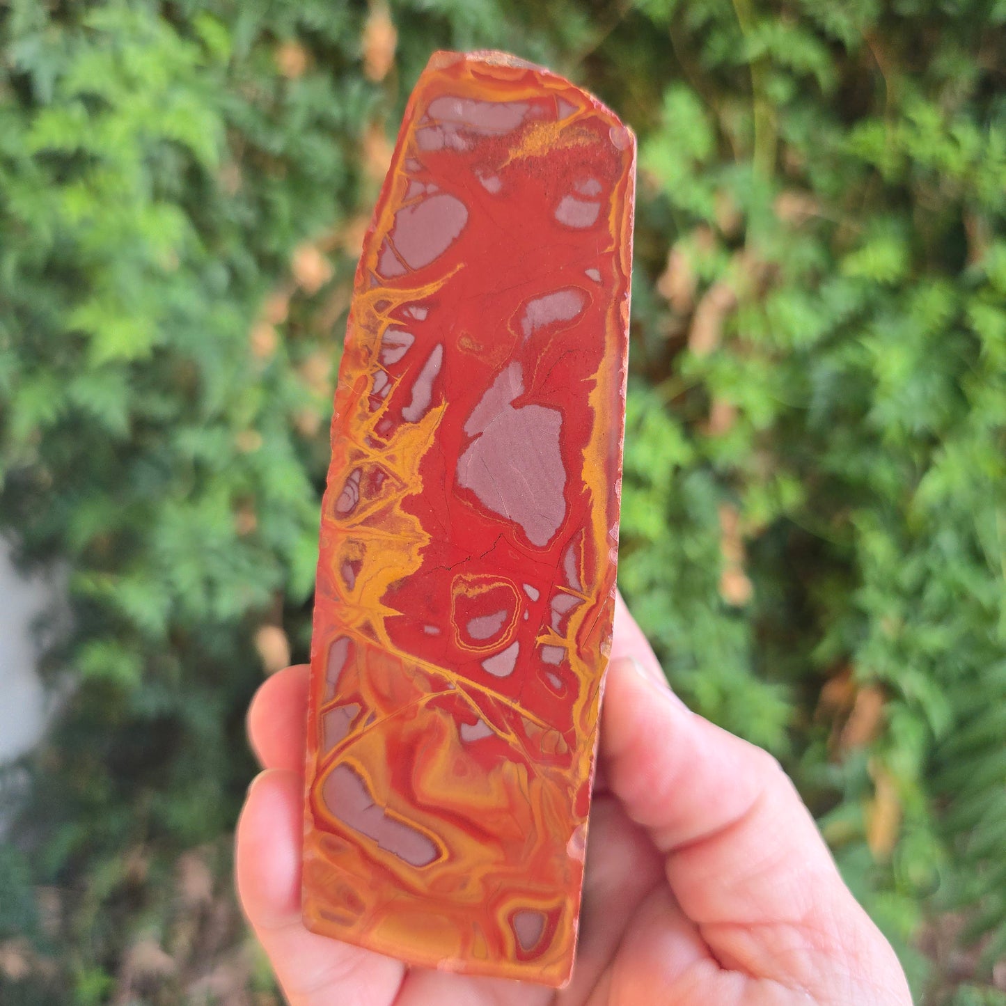 Noreena Jasper Australia