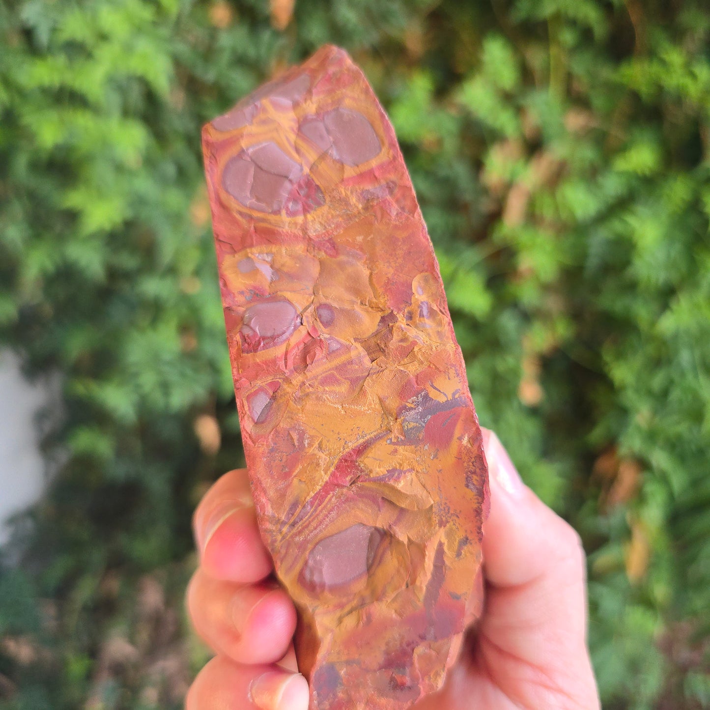 Noreena Jasper Australia