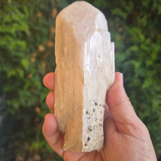 Danburite from Mexico
