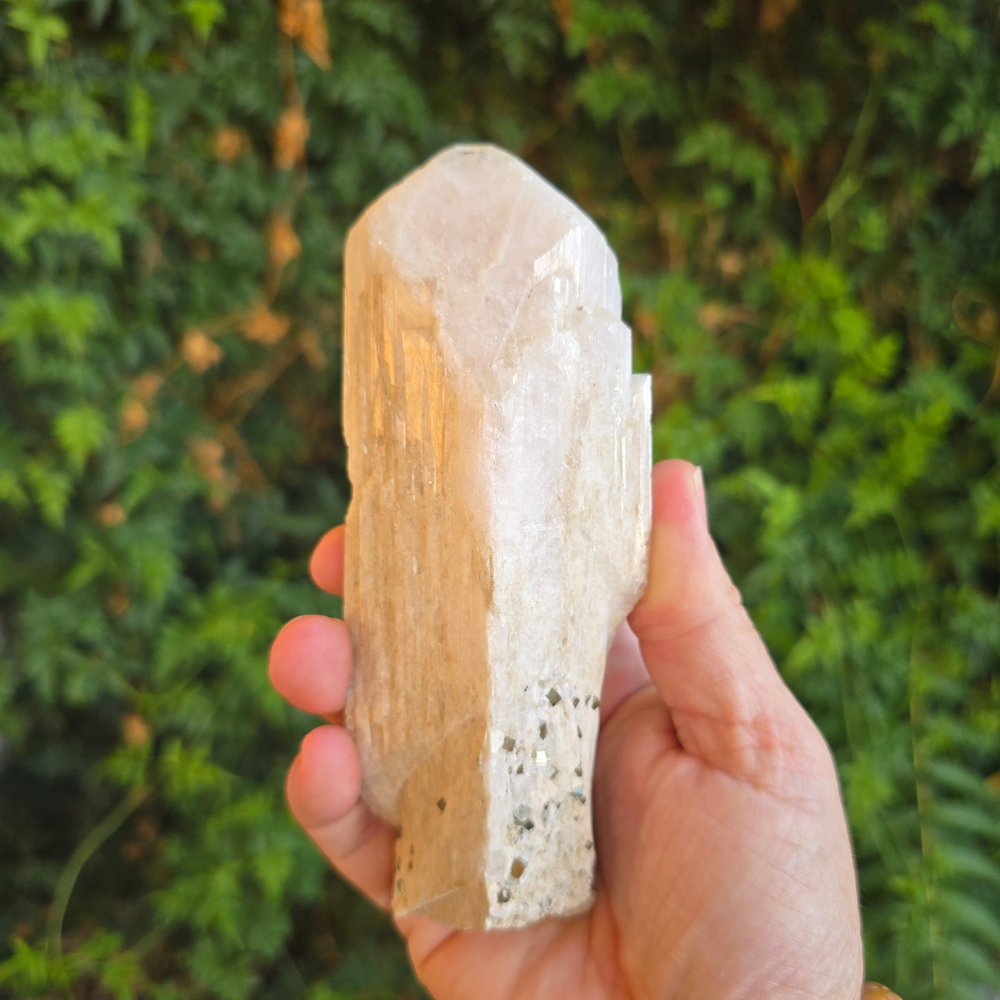 Danburite from Mexico