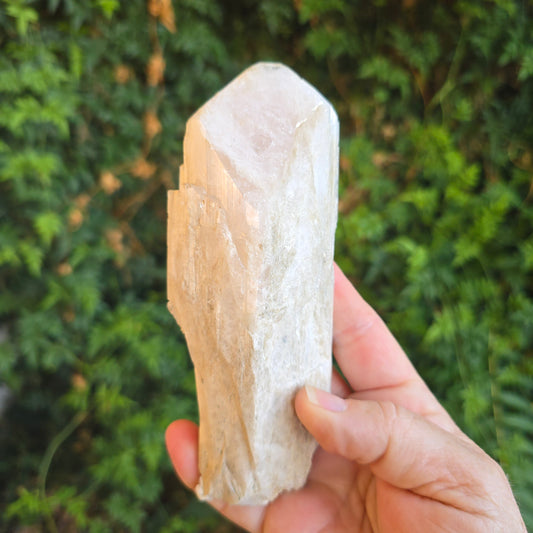 Danburite from Mexico