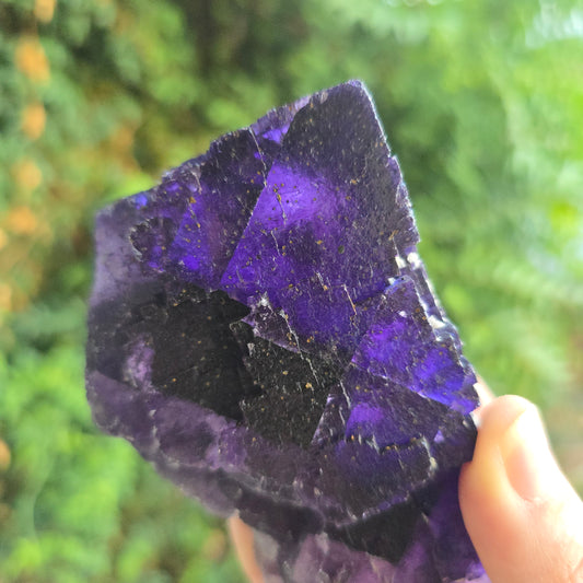Fluorite from Cave in Rock Illinois