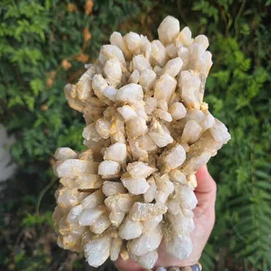 Danburite from Mexico