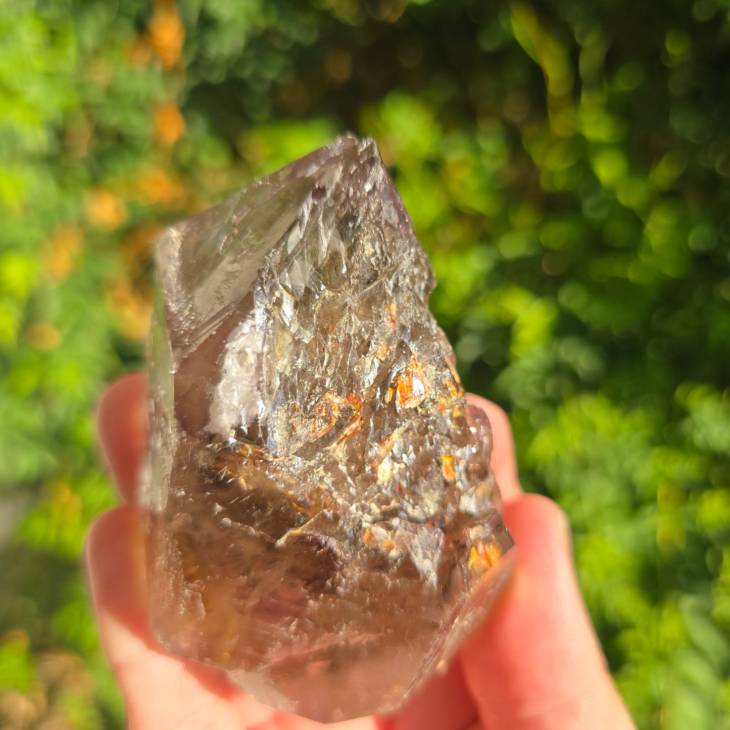 Smoky Amethyst Mondo Tanzania