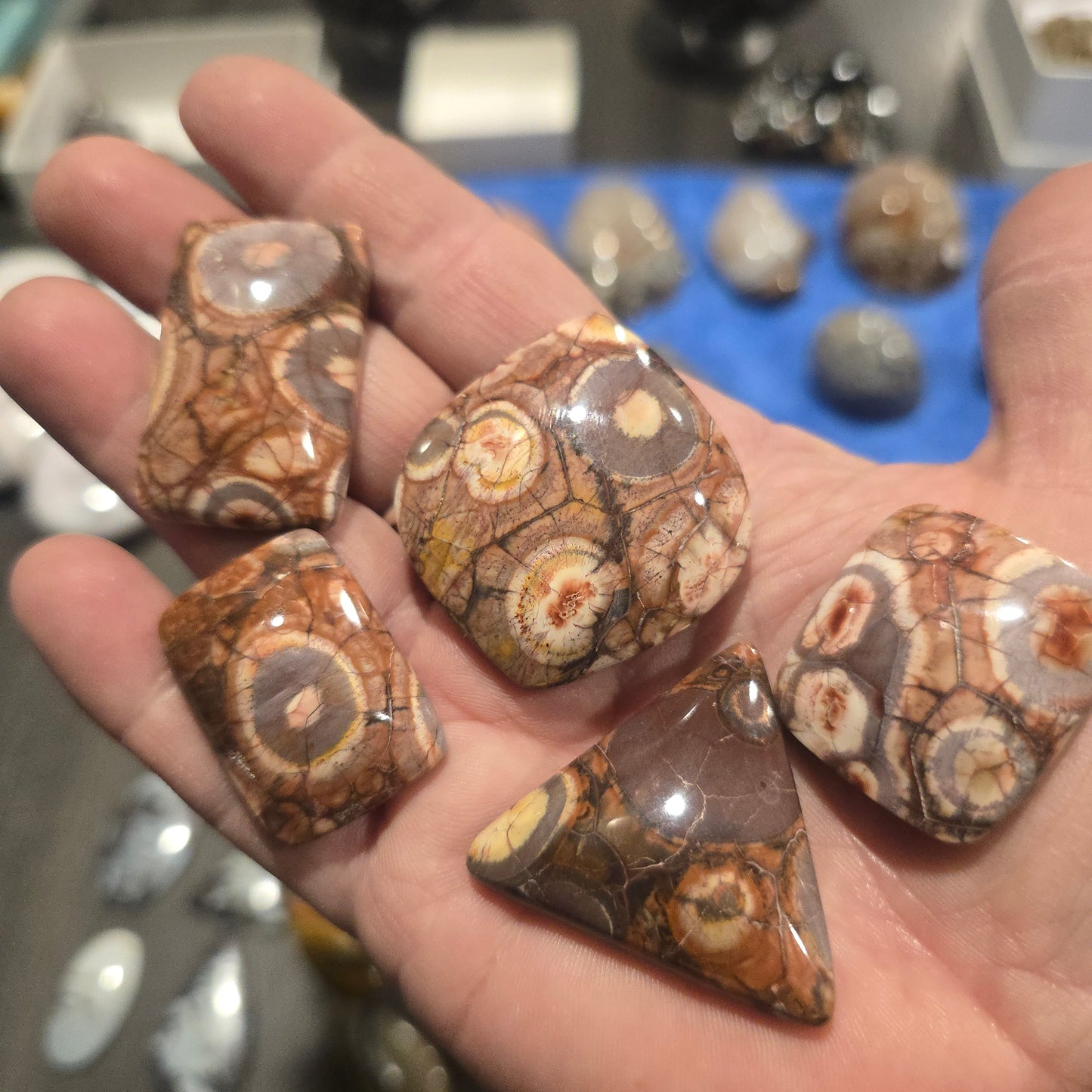 Birds eye rhyolite cabochon