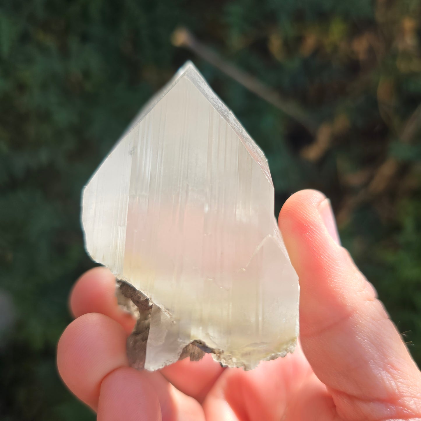 Selenite from Chihuahua Mexico