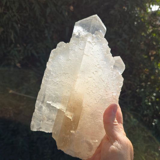 Selenite from Chihuahua Mexico