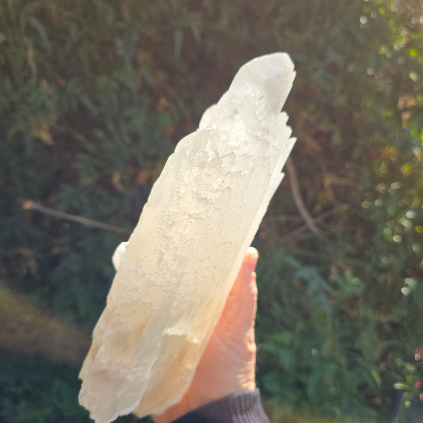 Selenite from Chihuahua Mexico