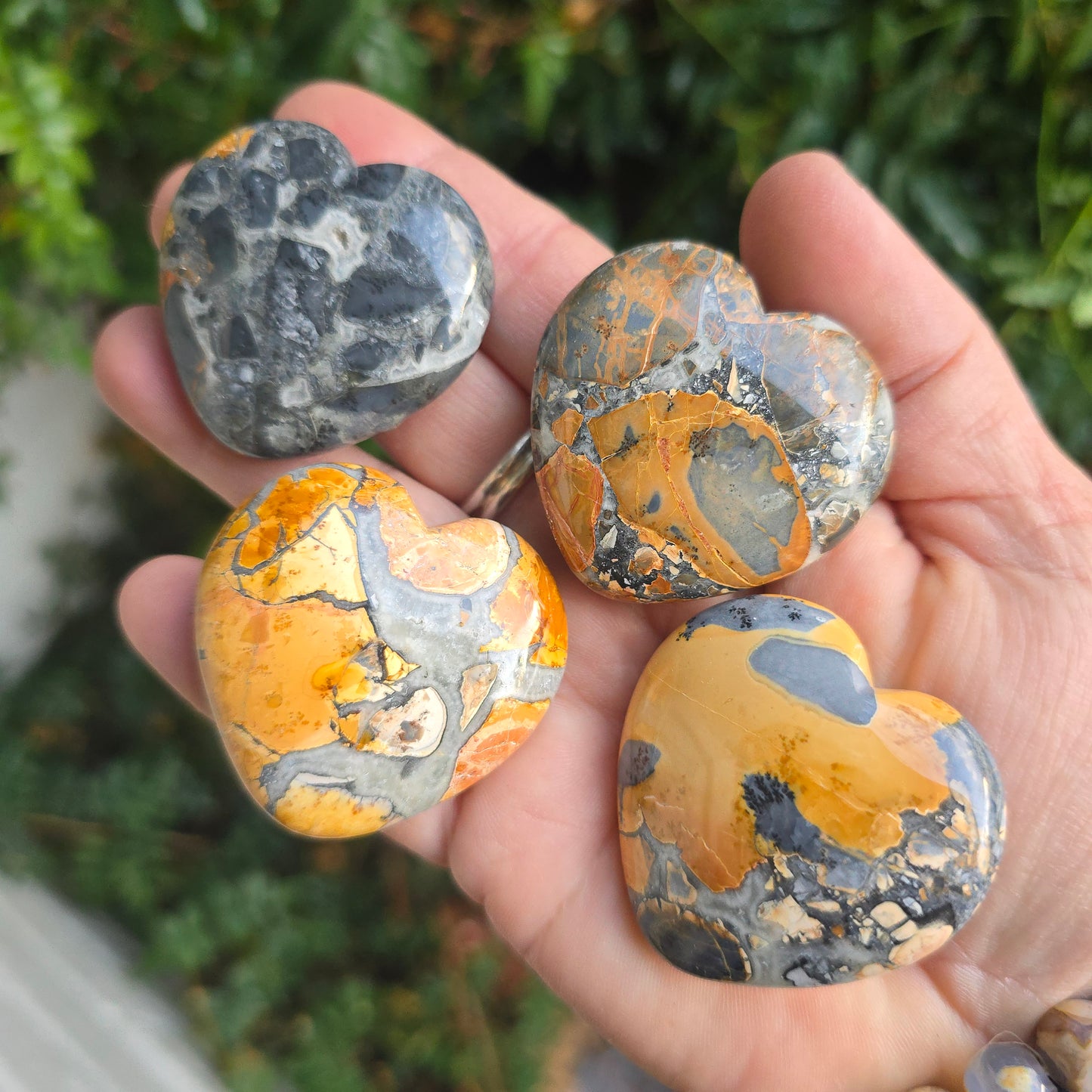 Maligano Jasper Heart Indonesia