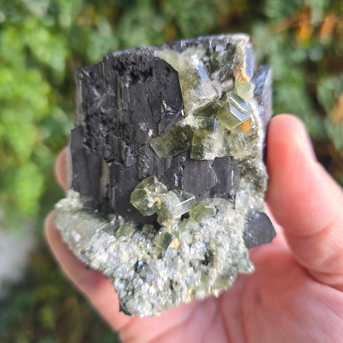 Ferberite w Fluorapatite Panasqueira Mine Portugal