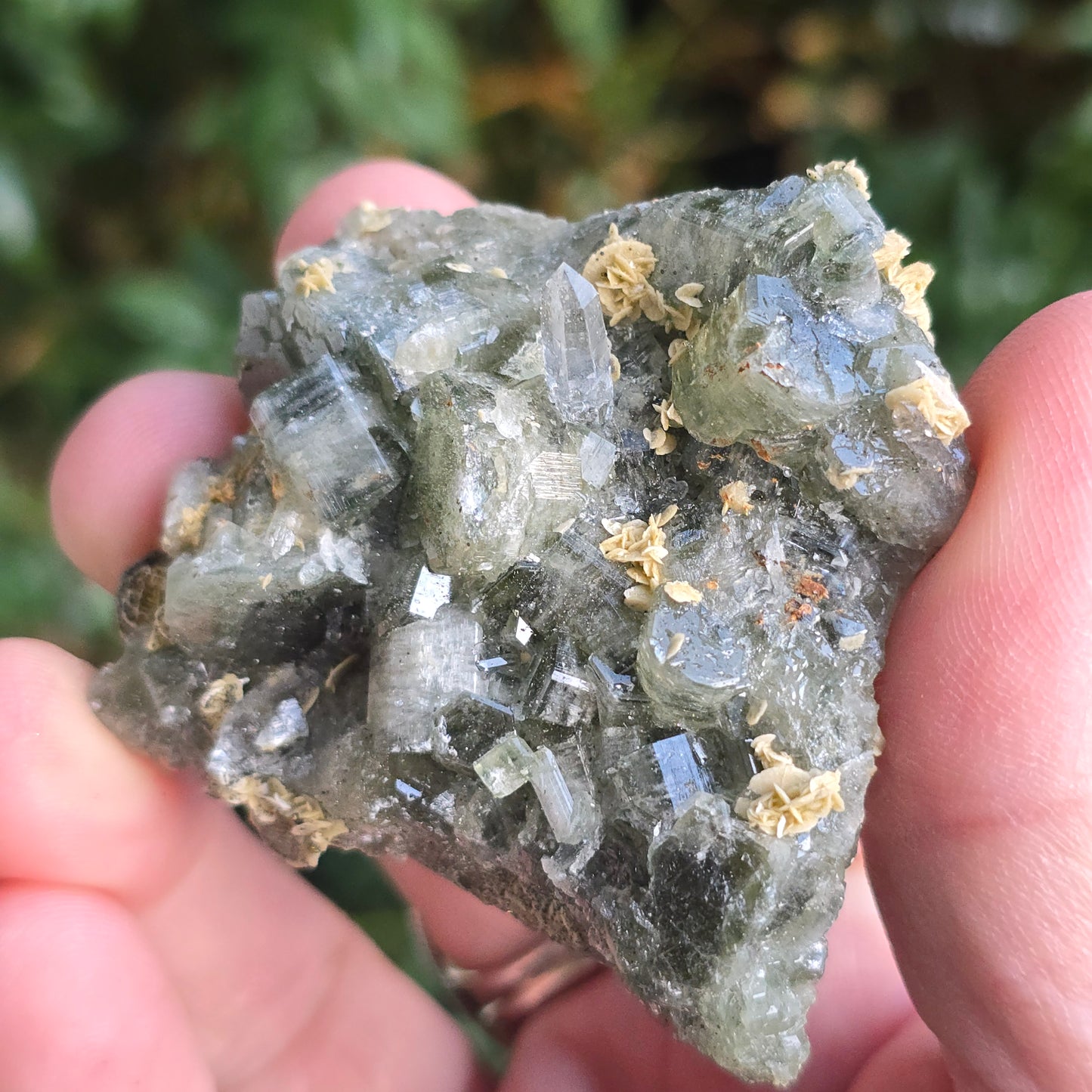 Fluorapatite Panasqueira Mine Portugal