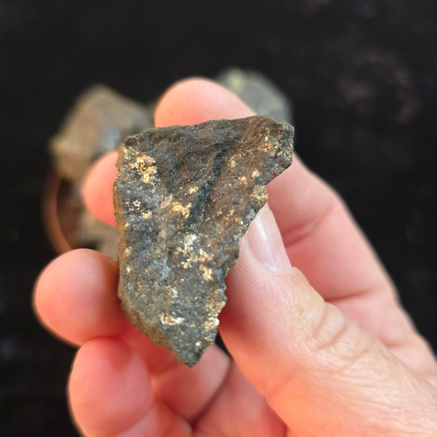 Apache Gold New Mexico