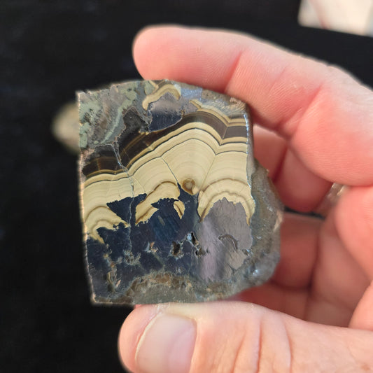 Schalenblende Poland