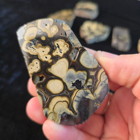 Schalenblende Poland