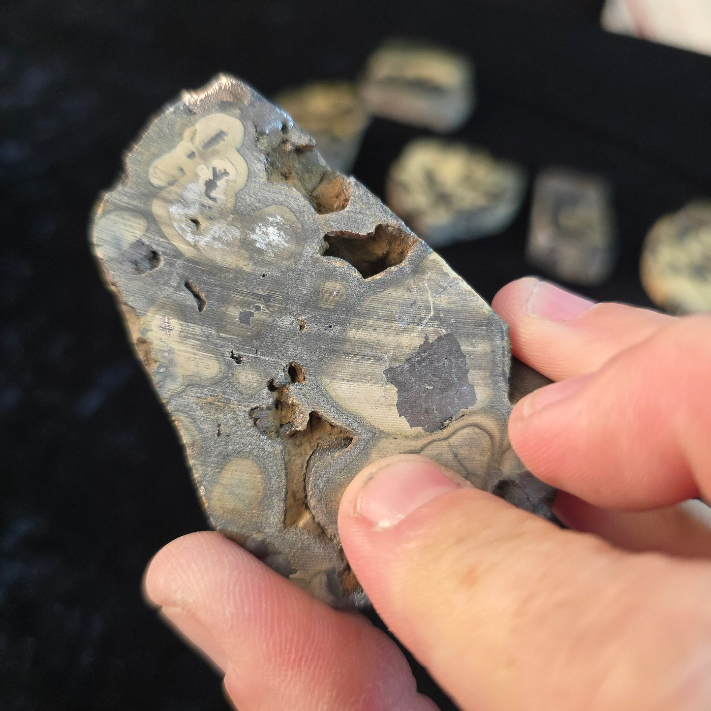 Schalenblende Poland