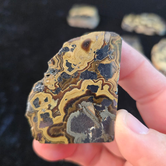 Schalenblende Poland