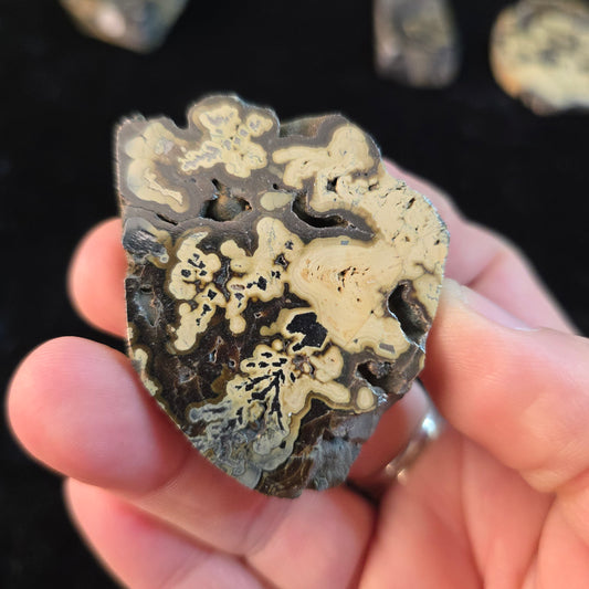 Schalenblende Poland