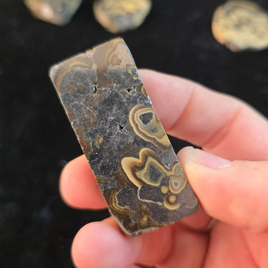 Schalenblende Poland