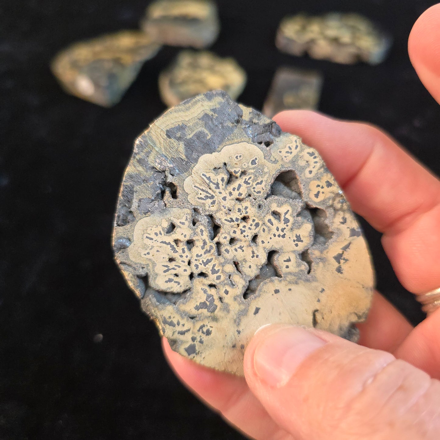 Schalenblende Poland