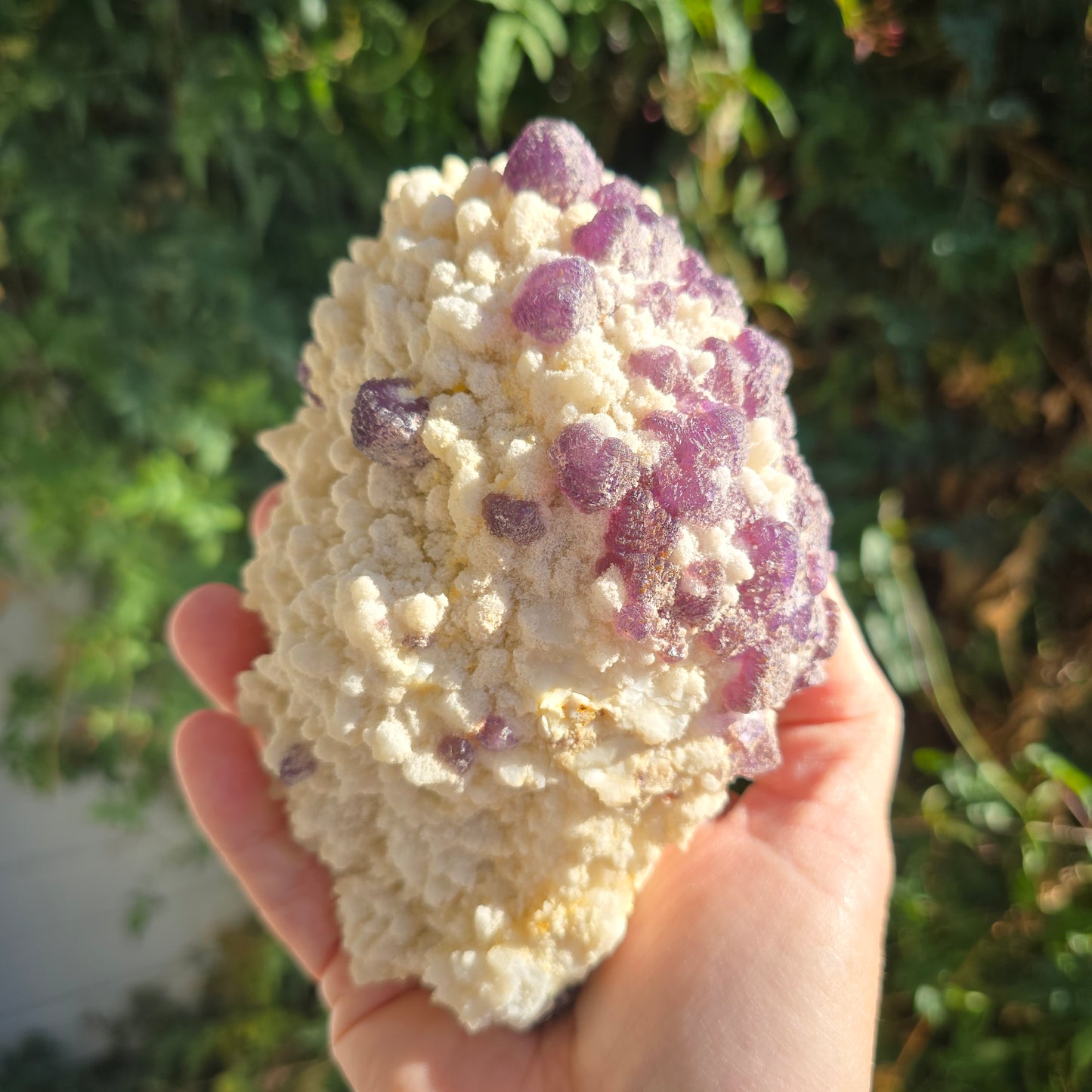 Magenta Fluorite on Quartz Mexico