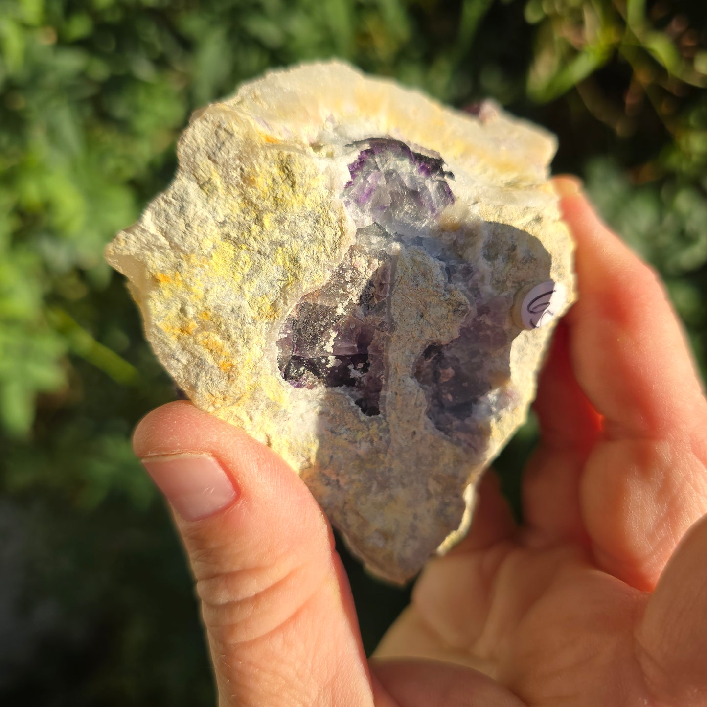 Magenta Fluorite on quartz Mexico