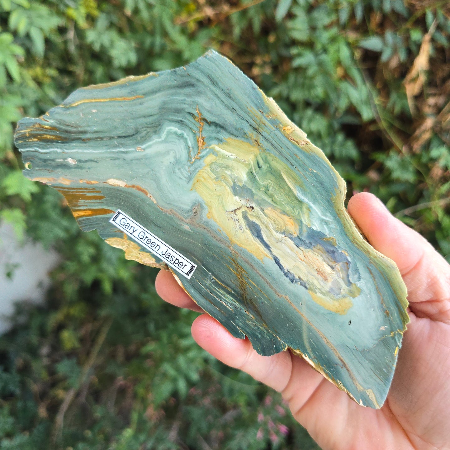 Gary Green jasper petrified Wood