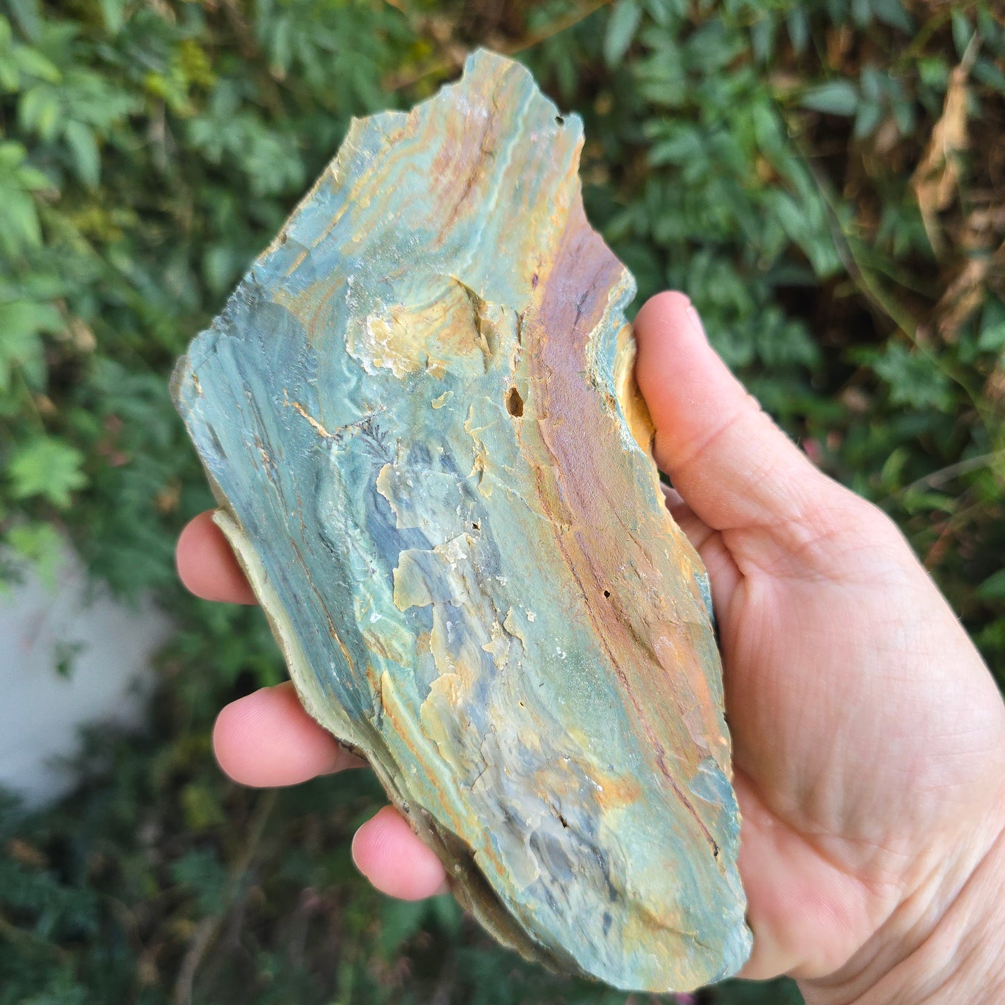 Gary Green jasper petrified Wood