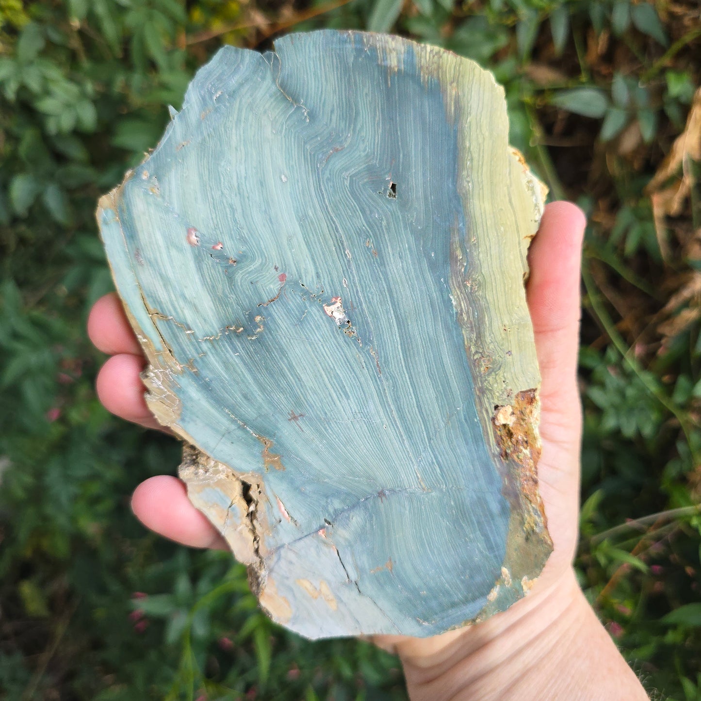 Gary Green Jasper petrified wood