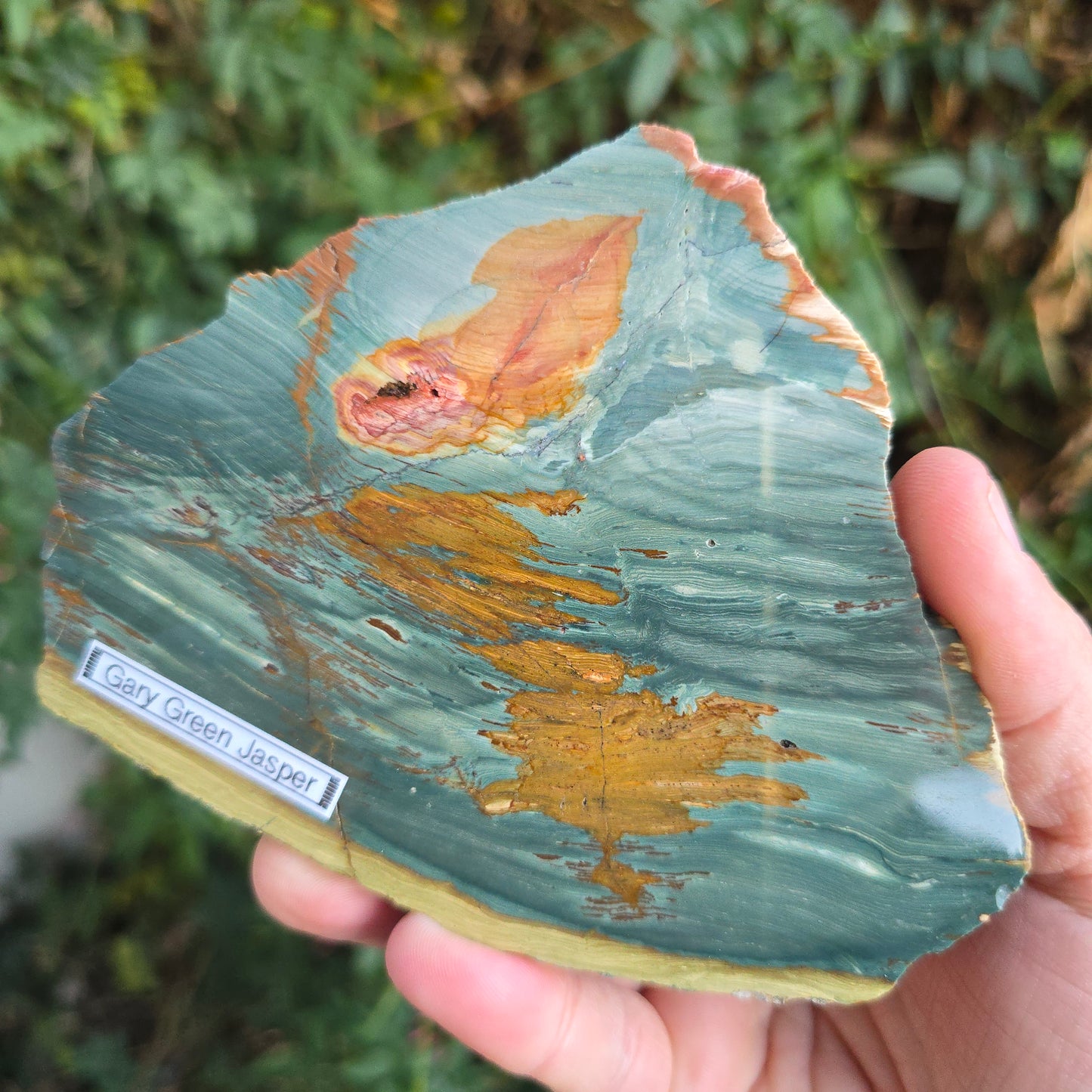 Gary Green Jasper petrified wood