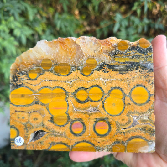 Kambaby Ocean Jasper freeform