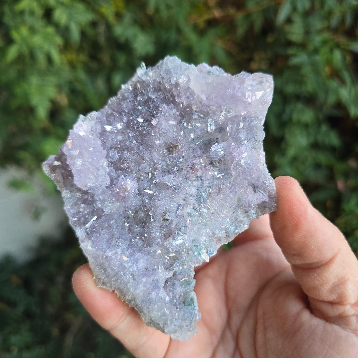 Rose Amethyst Brazil