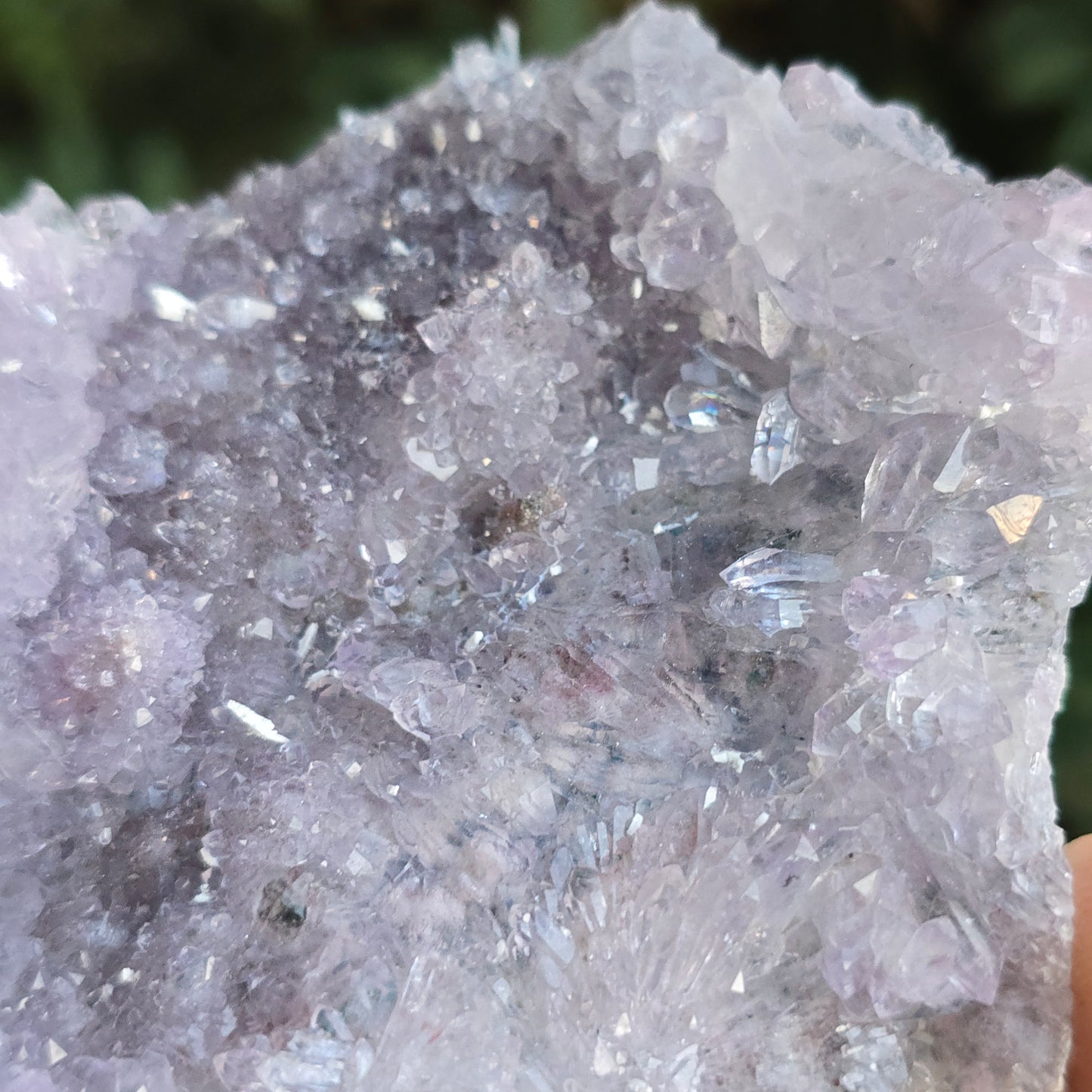 Rose Amethyst Brazil