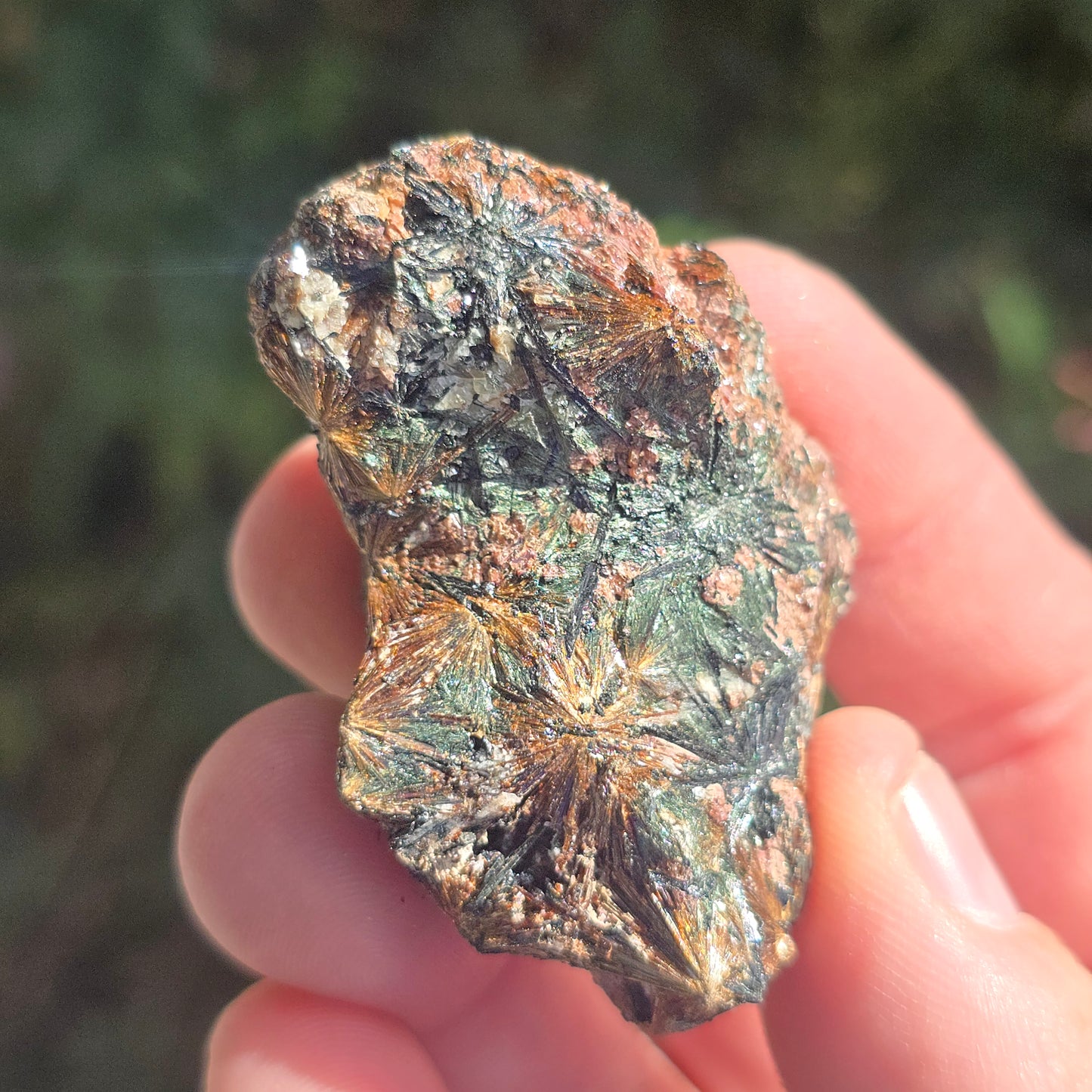 Lamprophyllite Russia