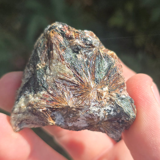 Lamprophyllite Russia