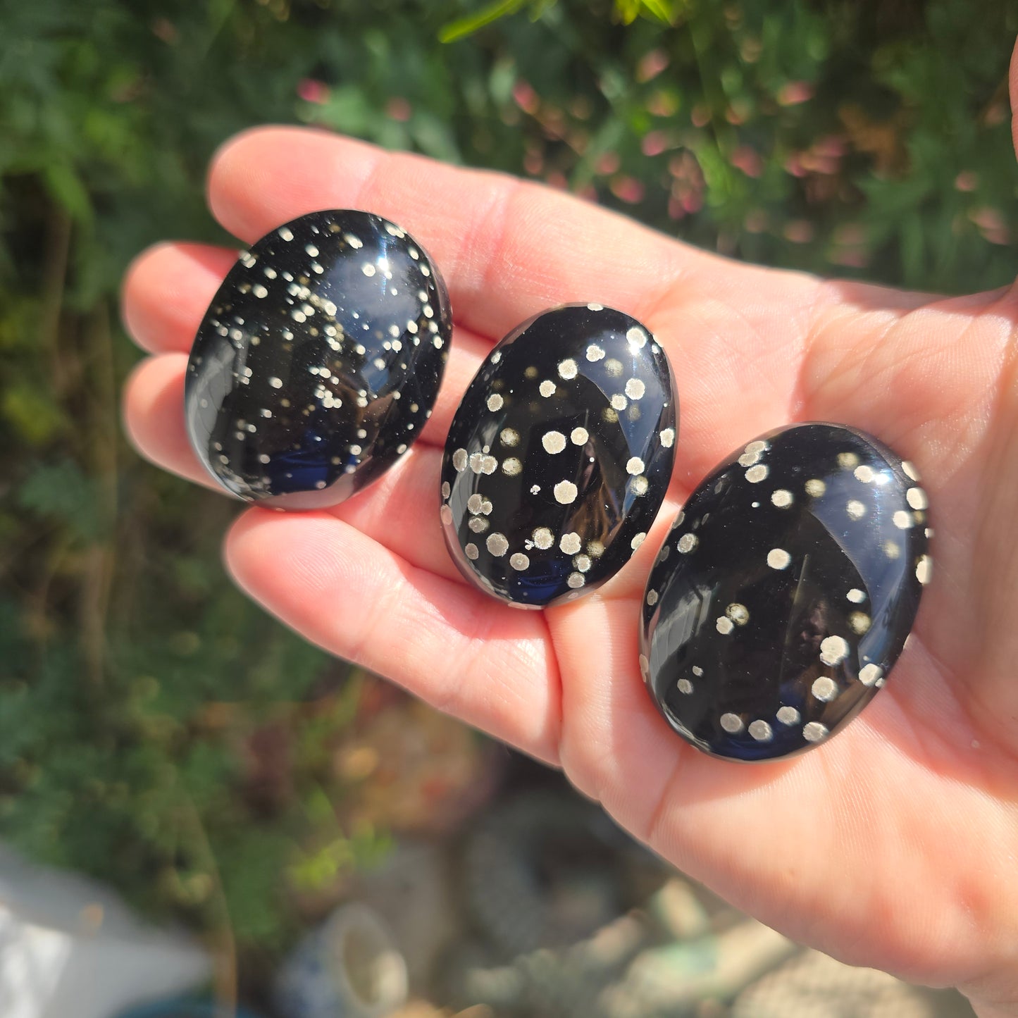 Stardust Obsidian oval Mexico