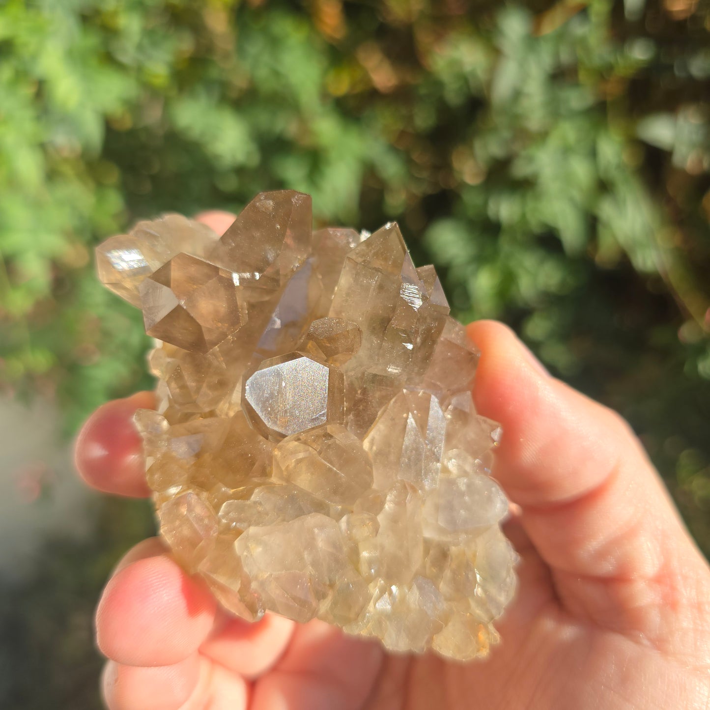Natural smoky quartz South Africa