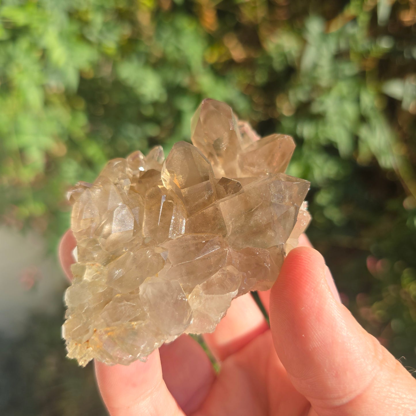 Natural smoky quartz South Africa